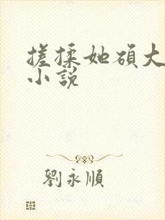 搓揉她硕大双乳小说