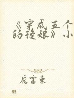 《穿成五个反派的后娘》小说