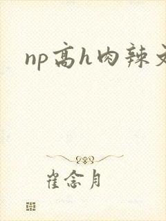 np高h肉辣文