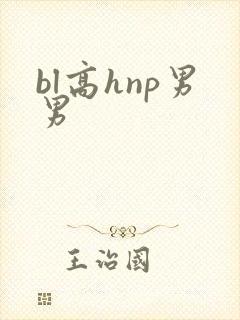 bl高hnp男男