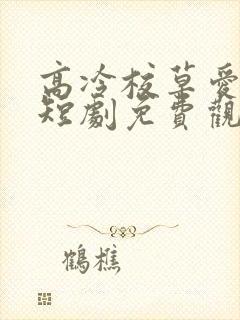 高冷校草爱上我短剧免费观看