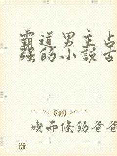 霸道男主占有欲强的小说古言