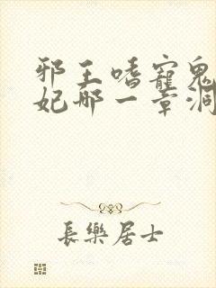 邪王嗜宠鬼医狂妃哪一章洞房