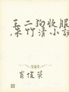 王二狗收服小舞,朱竹清小说免费阅读