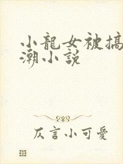 小龙女被搞上高潮小说