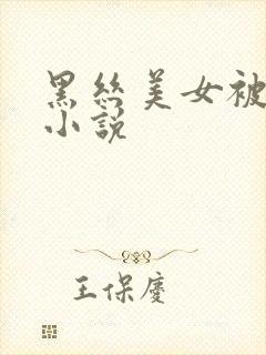 黑丝美女被调教小说