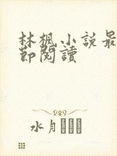 林枫小说最新章节阅读