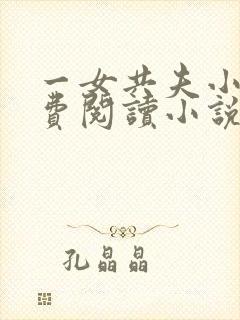 一女共夫小说免费阅读小说封面