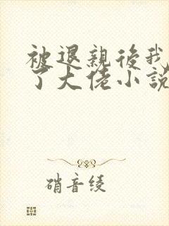 被退亲后我嫁给了大佬小说