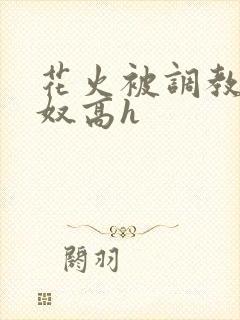 花火被调教成肉奴高h