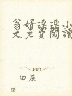 翁婿瑶瑶小说全文免费阅读最新章节封面