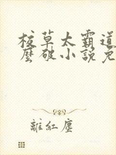 校草太霸道了怎么破小说免费阅读