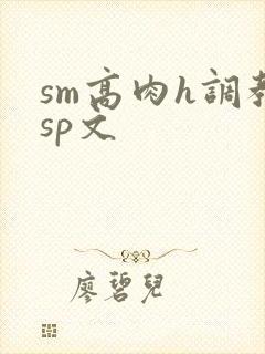 sm高肉h调教sp文