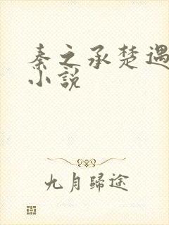 秦之承楚遇什么小说