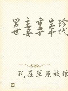 男主重生珍惜前世妻子年代文封面