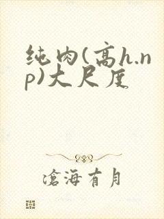 纯肉(高h.np)大尺度