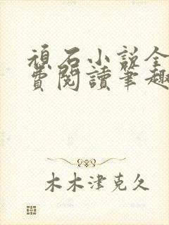 顽石小说全文免费阅读笔趣阁