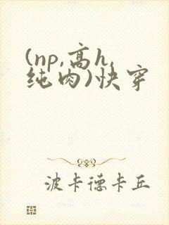 (np,高h,纯肉)快穿