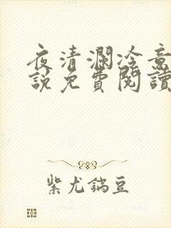 夜清澜冷意欢小说免费阅读笔趣阁无弹窗封面
