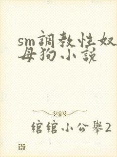 sm调教性奴隶母狗小说