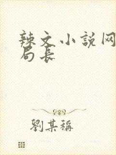 辣文小说网三宝局长