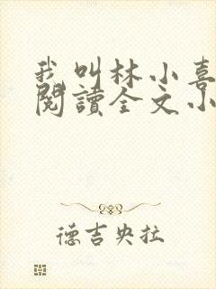 我叫林小喜免费阅读全文小说