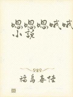 嗯嗯嗯哦哦啊啊小说