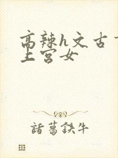 高辣h文古言皇上宫女