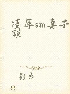 凌辱sm妻子小说