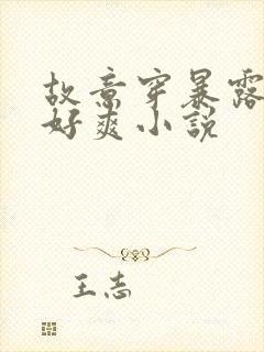 故意穿暴露被强好爽小说