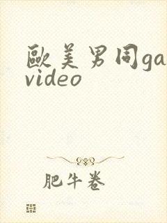 欧美男同gayvideo