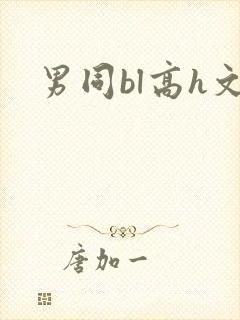 男同bl高h文