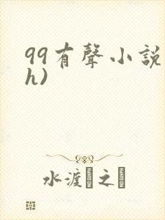 99有声小说(h)