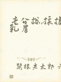 老公总,揉搓我乳房