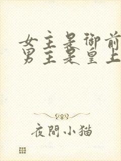 女主是御前宫女男主是皇上