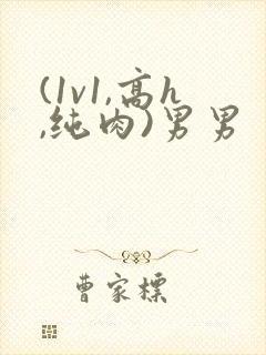 (1v1,高h,纯肉)男男