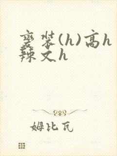 变装(h)高h辣文h