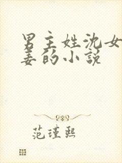 男主姓沈女主姓姜的小说