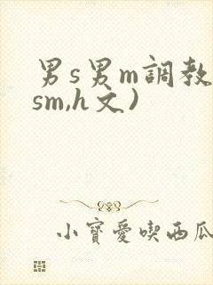 男s男m调教(sm,h文)