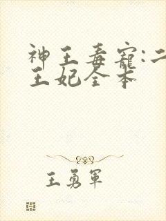 神王毒宠:二嫁王妃全本封面