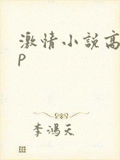 激情小说高hnp