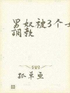 男奴被3个女王调教