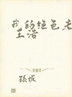 我的绝色老板娘 王浩