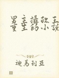 男主摄政王女主重生的小说