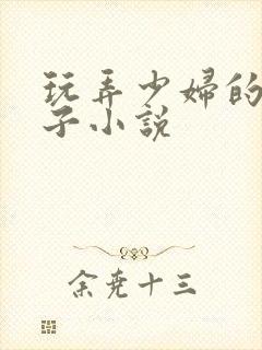 玩弄少妇的大奶子小说