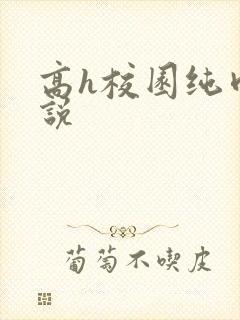 高h校园纯肉小说