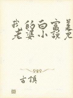 我的白富美总裁老婆小说免费