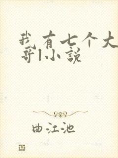 我有七个大佬哥哥l小说封面