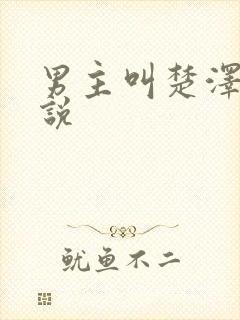 男主叫楚泽的小说封面