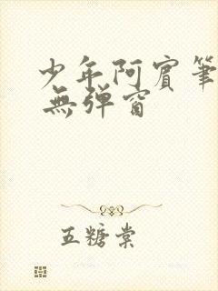 少年阿宾笔趣阁 无弹窗